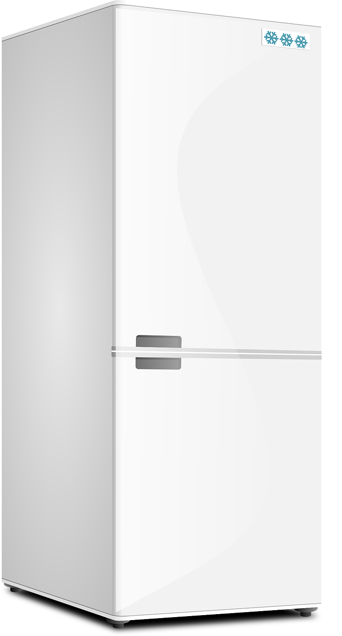 fridge, kitchen, refrigerator-158792.jpg